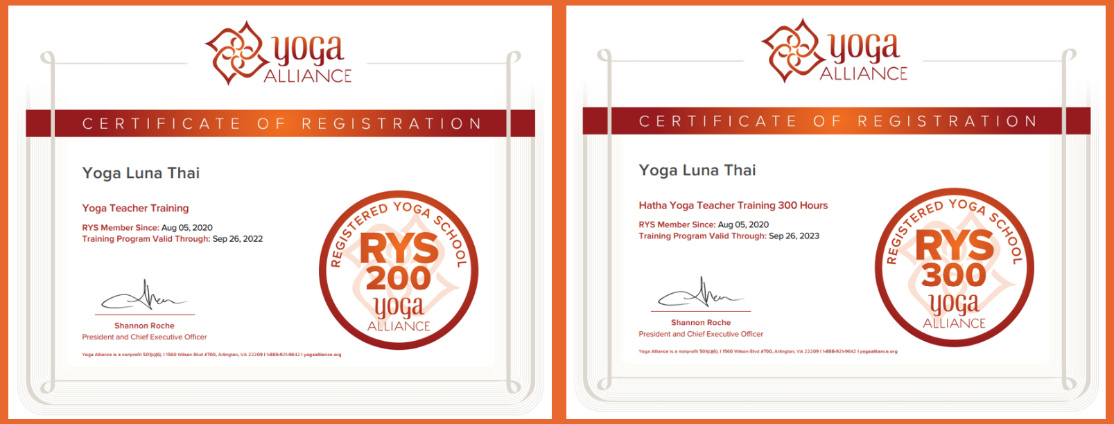 khoá đào tạo hlv yoga trị liệu 300h (3)