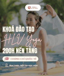 Khóa Đào tạo HLV Yoga 200 giờ - Offline - Chứng chỉ Quốc tế