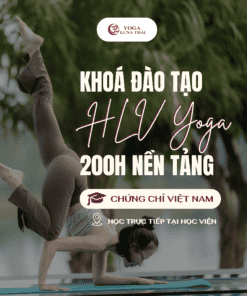 Khóa học Đào tạo HLV Yoga 200h OFFLINE - CC VIỆT NAM