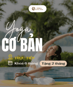 Khoá Yoga Cơ bản - học Trực tiếp (Khoá 6 tháng + Tặng 2 tháng)