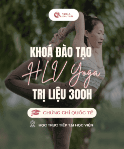 Khóa học Đào tạo HLV Yoga 300h Trị liệu OFFLINE - CC QUỐC TẾ