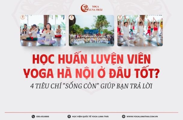 Học Huấn Luyện Viên Yoga Hà Nội Ở Đâu Tốt? - học viện quốc tế yoga luna thái