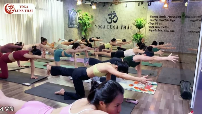 60 Min Full Body Yoga Flow
